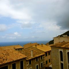 sos-vanda-photo-8